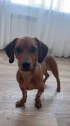 �����. ����