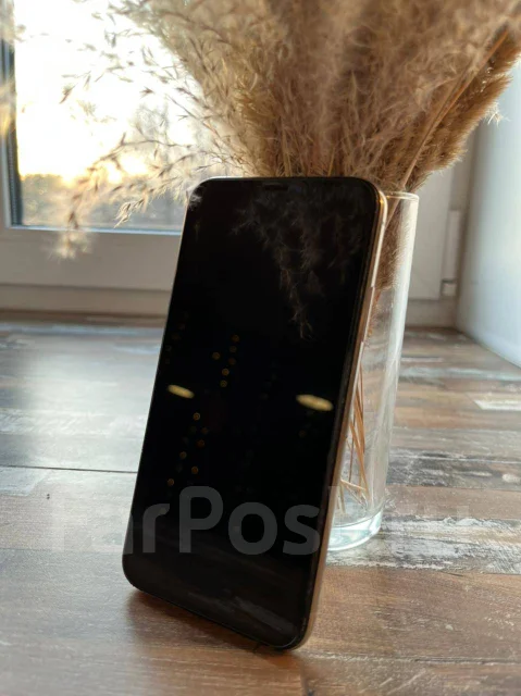 Apple iPhone X. �/�, �����, 4G LTE ����