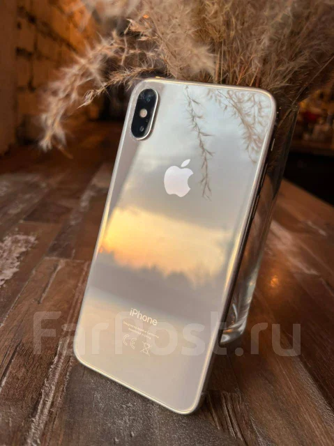 Apple iPhone X. �/�, �����, 4G LTE ����
