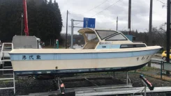 Yamaha F-22. ��������� ��� ���������, ������ ����