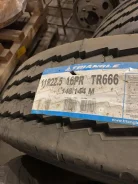 Triangle TR666. �����������, 2021 ���, �����. ���������� (������) ����