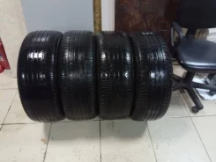 Mayrun MR500-PCR. ������, �/�, ����� 40 % ����