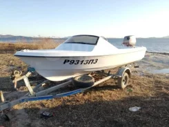G14. 2015 ���, ����� 4,2��., ��������� ���������, 60��.�., ������ ����