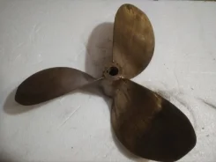 ����� �������. ����