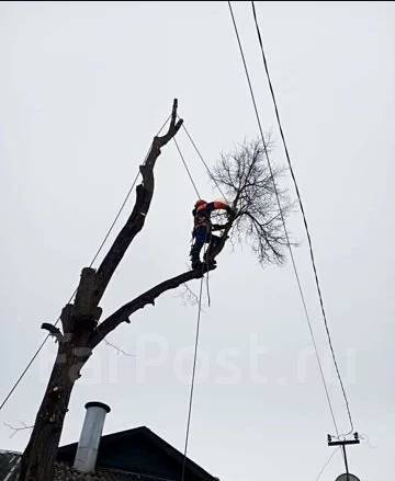 Корчевка пней домкратом