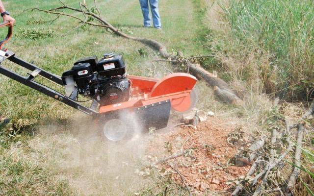 Расчистка, корчевка, уборка участка. Вывоз мусора - Обустройство ...