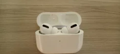 ���������. ����