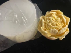 �����. ����