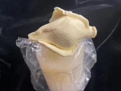 �����. ��� ����� �� ������������ ����
