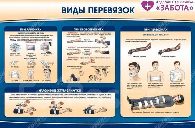 стенд виды перевязок - оборудование для бизнеса во владивостоке. подать объявление. частные объявления и предложения орг