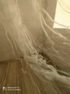 ���������� ����. ����