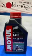 Motul Kart Grand Prix 2T