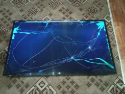 ������ ����