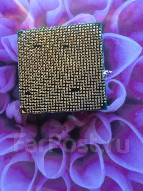 AMD Phenom II X6 ����
