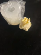 �����. ����