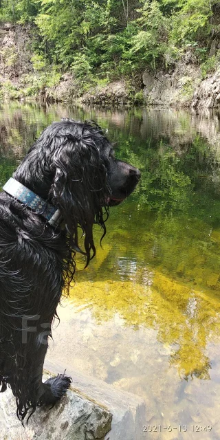 ������� ��������� ��������. ����