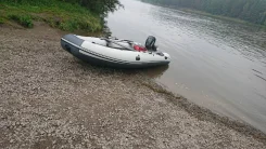������. 2020 ���, ����� 3,9��., ��������� ���������, 15��.�., ������ ����