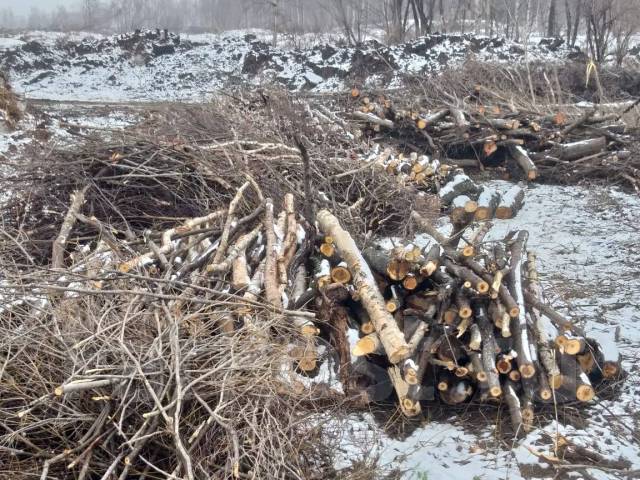 Валка, вырубка, вывоз деревьев, веток во Владивостоке