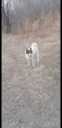 �����. ����