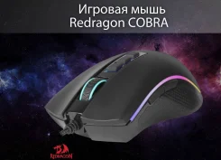 ���� �������. ����