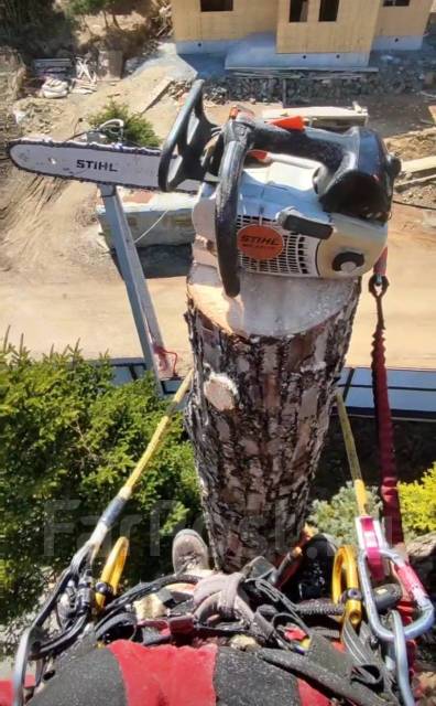 Пилим деревья, Спил деревьев, Санитарная обрезка, Спилить дерево ...