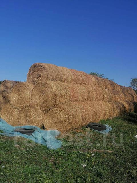 Продам сено, в наличии. Цена: 1 000₽ в Уссурийске
