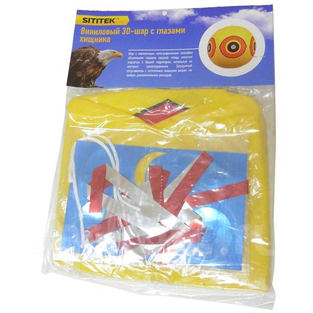 ������������ ���� ���� �������, ��� ����