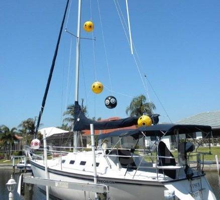 ������������ ���� ���� �������, ��� ����