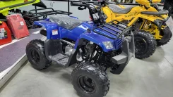 Motoland Rider 110. ��������, ��� ���\���, ��� ������� ����