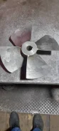 ���������. ����