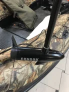 Condor. 0,42��.�., 2-�������, ����������, ���� U (762 ��), 2022 ��� ����
