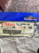 ���������� ����������. ����