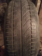 Tigar Hitris. ������, 2012 ���, �/�, ����� 40 %. ��� ����� �� ����������� ����