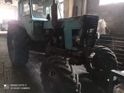 ��� 82 ����