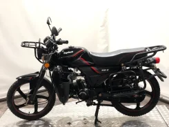 Regulmoto Alpha RM-2. 110����. ��., ��������, ��� ���, ��� ������� ����