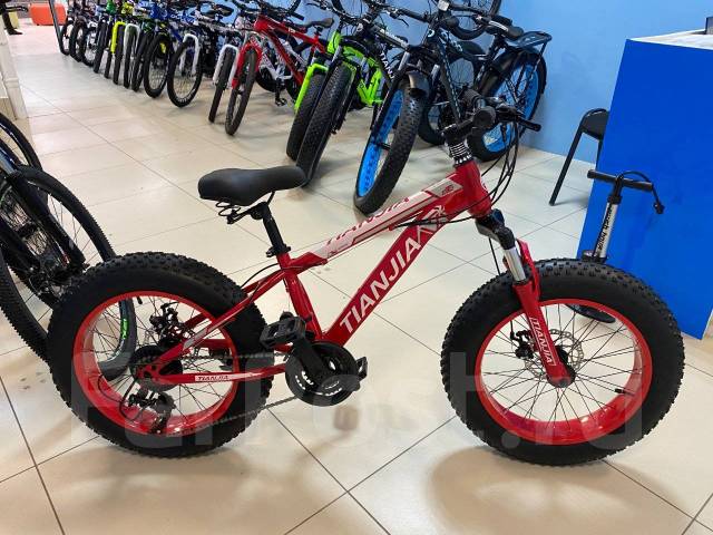 Fat bike best sale with price