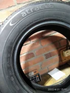 Lassa Atracta. ������, 2006 ���, �/�, ����� 30 % ����