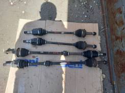 ������ �������� ����