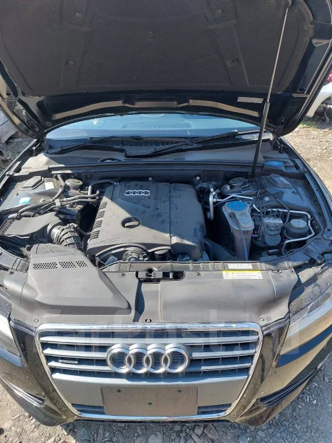Audi A5. WAUZZZ8T4BA065931, CDNC ����