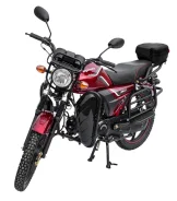 Regulmoto Alpha RM-2. 49����. ��., ��������, ��� ���, ��� ������� ����