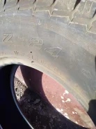 Toyo Z Radial Z-24. �����������, 2019 ���, ����� ����