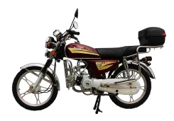 Regulmoto Alpha RM-1. 49����. ��., ��������, ��� ���, ��� ������� ����