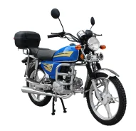 Regulmoto Alpha RM-1. 49����. ��., ��������, ��� ���, ��� ������� ����