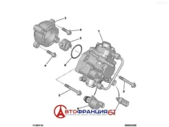 ��������� ���� (���������) Peugeot 192551 192551 ����