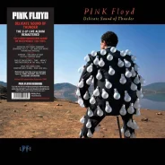 2LP Pink Floyd � Delicate Sound Of Thunder 1988 ����� ���������� ����