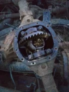 ������ ������ ���� �� ������(Willys) ����