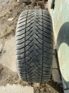 Goodyear Eagle Ultra Grip. �����������, �/�, ����� 10�% ����