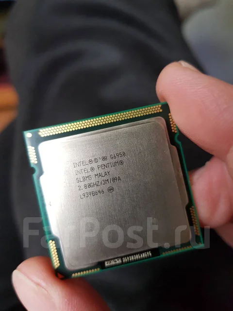Intel Pentium G6950 ����