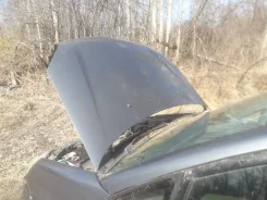 Suzuki Aerio ����
