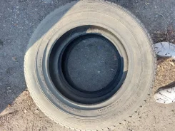 Dunlop Graspic DS-V. �����������, �/�, ����� 40 % ����